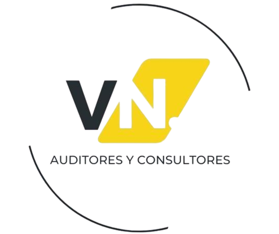 VN Auditores y Consultores S.A.S.